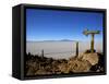 Cactus Arrow on Isla de Los Pescadores, Volcan Tunupa and Salt Flats, Salar de Uyuni, Bolivia-Simon Montgomery-Framed Stretched Canvas