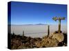 Cactus Arrow on Isla de Los Pescadores, Volcan Tunupa and Salt Flats, Salar de Uyuni, Bolivia-Simon Montgomery-Stretched Canvas