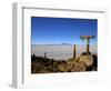 Cactus Arrow on Isla de Los Pescadores, Volcan Tunupa and Salt Flats, Salar de Uyuni, Bolivia-Simon Montgomery-Framed Photographic Print