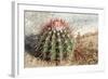 Cactus, Aruba, ABC Islands-alfotokunst-Framed Photographic Print