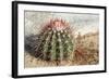 Cactus, Aruba, ABC Islands-alfotokunst-Framed Photographic Print