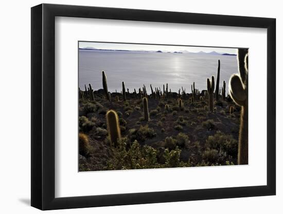 Cactus at Isla Pescado Salar De Uyuni Bolivia Silhouette in the Setting Sun Backlit Rocks in the An-kikkerdirk-Framed Photographic Print