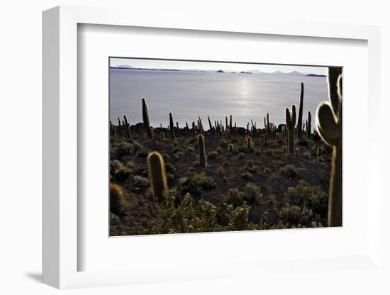 Cactus at Isla Pescado Salar De Uyuni Bolivia Silhouette in the Setting Sun Backlit Rocks in the An-kikkerdirk-Framed Photographic Print