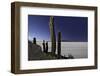 Cactus at Isla Pescado Salar De Uyuni Bolivia Sunset at the Island in the Salt Desert at the High A-kikkerdirk-Framed Photographic Print