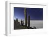 Cactus at Isla Pescado Salar De Uyuni Bolivia Sunset at the Island in the Salt Desert at the High A-kikkerdirk-Framed Photographic Print