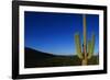 Cactus at Sunrise-Paul Souders-Framed Photographic Print