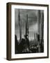 Cactus, Baja, California, 1968-Brett Weston-Framed Photographic Print