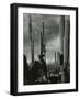 Cactus, Baja, California, 1968-Brett Weston-Framed Photographic Print