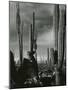 Cactus, Baja, California, 1968-Brett Weston-Mounted Photographic Print