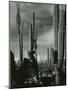 Cactus, Baja, California, 1968-Brett Weston-Mounted Premium Photographic Print