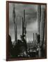 Cactus, Baja, California, 1968-Brett Weston-Framed Photographic Print