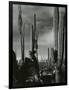 Cactus, Baja, California, 1968-Brett Weston-Framed Photographic Print