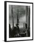 Cactus, Baja, California, 1968-Brett Weston-Framed Photographic Print