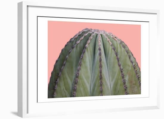 Cactus Ball-Sheldon Lewis-Framed Art Print