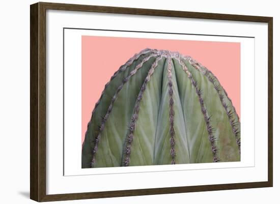 Cactus Ball-Sheldon Lewis-Framed Art Print