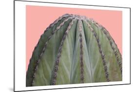 Cactus Ball-Sheldon Lewis-Mounted Art Print