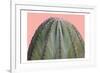 Cactus Ball-Sheldon Lewis-Framed Art Print