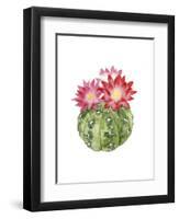 Cactus Bloom III-Grace Popp-Framed Art Print