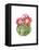 Cactus Bloom III-Grace Popp-Framed Stretched Canvas