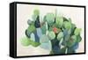 Cactus Bloom-Asia Jensen-Framed Stretched Canvas