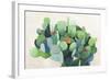 Cactus Bloom-Asia Jensen-Framed Art Print