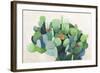 Cactus Bloom-Asia Jensen-Framed Art Print