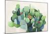 Cactus Bloom-Asia Jensen-Mounted Art Print