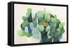 Cactus Bloom-Asia Jensen-Framed Stretched Canvas