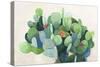 Cactus Bloom-Asia Jensen-Stretched Canvas