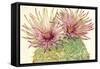 Cactus Blossoms I-Tim OToole-Framed Stretched Canvas