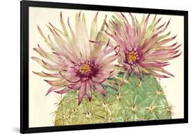 Cactus Blossoms I-Tim OToole-Framed Art Print