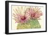 Cactus Blossoms I-Tim OToole-Framed Art Print