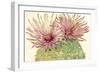 Cactus Blossoms I-Tim OToole-Framed Art Print