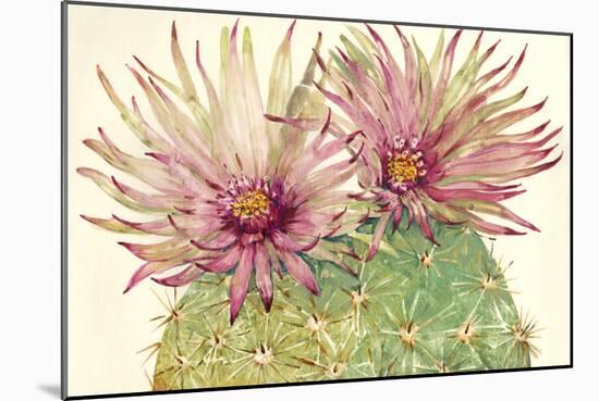 Cactus Blossoms I-Tim OToole-Mounted Premium Giclee Print