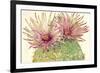 Cactus Blossoms I-Tim OToole-Framed Art Print