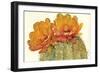 Cactus Blossoms II-Tim OToole-Framed Art Print