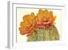 Cactus Blossoms II-Tim OToole-Framed Art Print