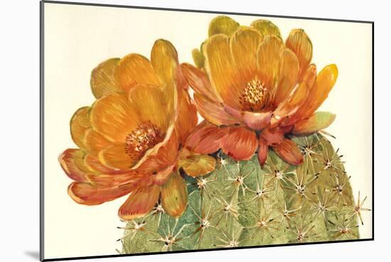 Cactus Blossoms II-Tim OToole-Mounted Art Print