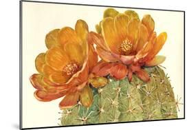 Cactus Blossoms II-Tim OToole-Mounted Art Print