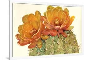 Cactus Blossoms II-Tim OToole-Framed Art Print