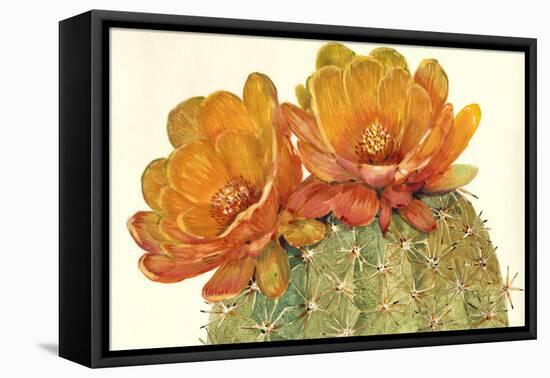 Cactus Blossoms II-Tim OToole-Framed Stretched Canvas