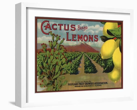 Cactus Brand - Highland, California - Citrus Crate Label-Lantern Press-Framed Art Print