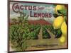 Cactus Brand - Highland, California - Citrus Crate Label-Lantern Press-Mounted Art Print
