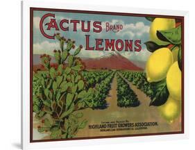 Cactus Brand - Highland, California - Citrus Crate Label-Lantern Press-Framed Art Print