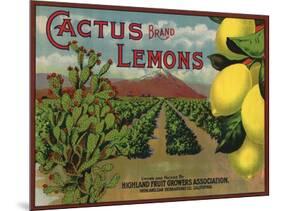 Cactus Brand - Highland, California - Citrus Crate Label-Lantern Press-Mounted Art Print