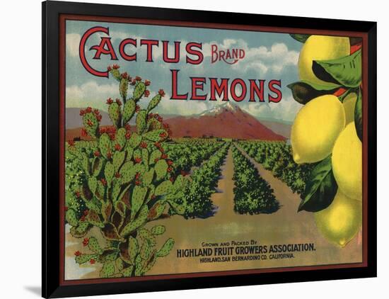 Cactus Brand - Highland, California - Citrus Crate Label-Lantern Press-Framed Art Print