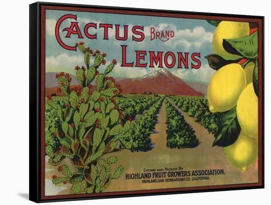 Cactus Brand - Highland, California - Citrus Crate Label-Lantern Press-Framed Stretched Canvas