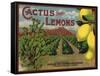 Cactus Brand - Highland, California - Citrus Crate Label-Lantern Press-Framed Stretched Canvas