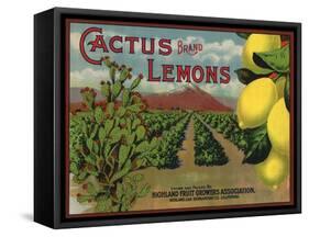 Cactus Brand - Highland, California - Citrus Crate Label-Lantern Press-Framed Stretched Canvas