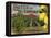 Cactus Brand - Highland, California - Citrus Crate Label-Lantern Press-Framed Stretched Canvas